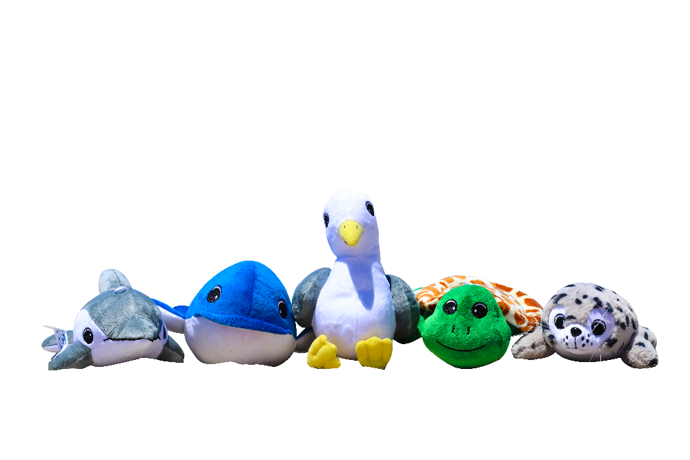 Shore Buddies Shelly the Sea Turtle 12