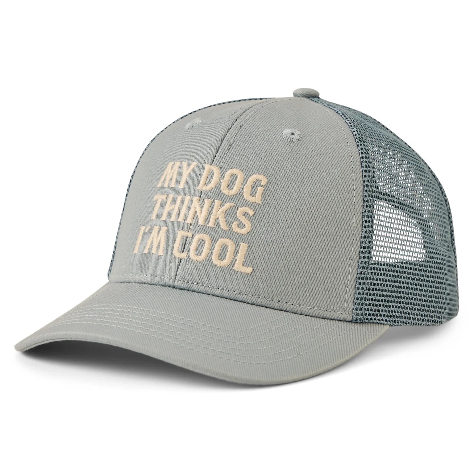 Life Is Good My Dog Thinks I'm Cool Trucker GRAY BLUE