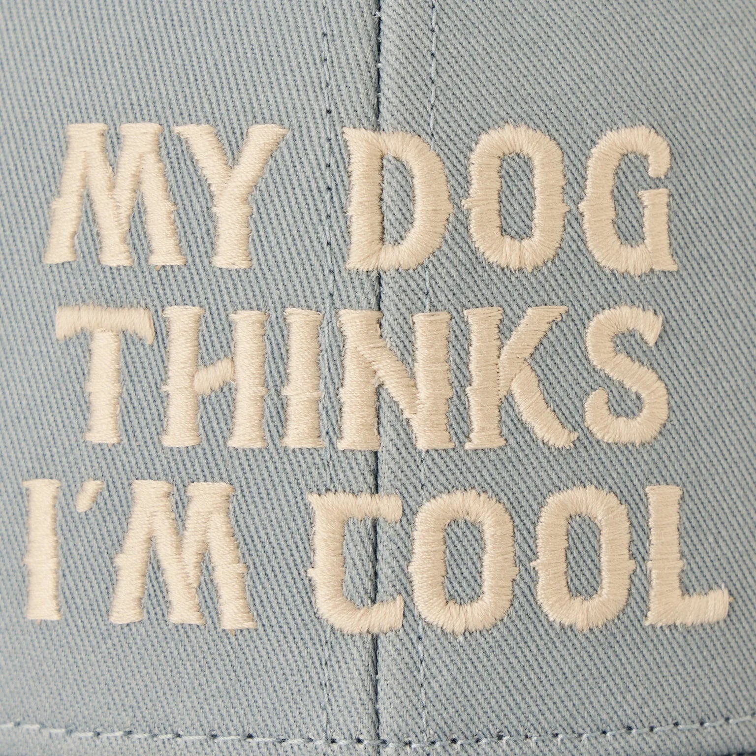 Life Is Good My Dog Thinks I'm Cool Trucker GRAY BLUE