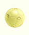 Ballon de foot Sun Bum