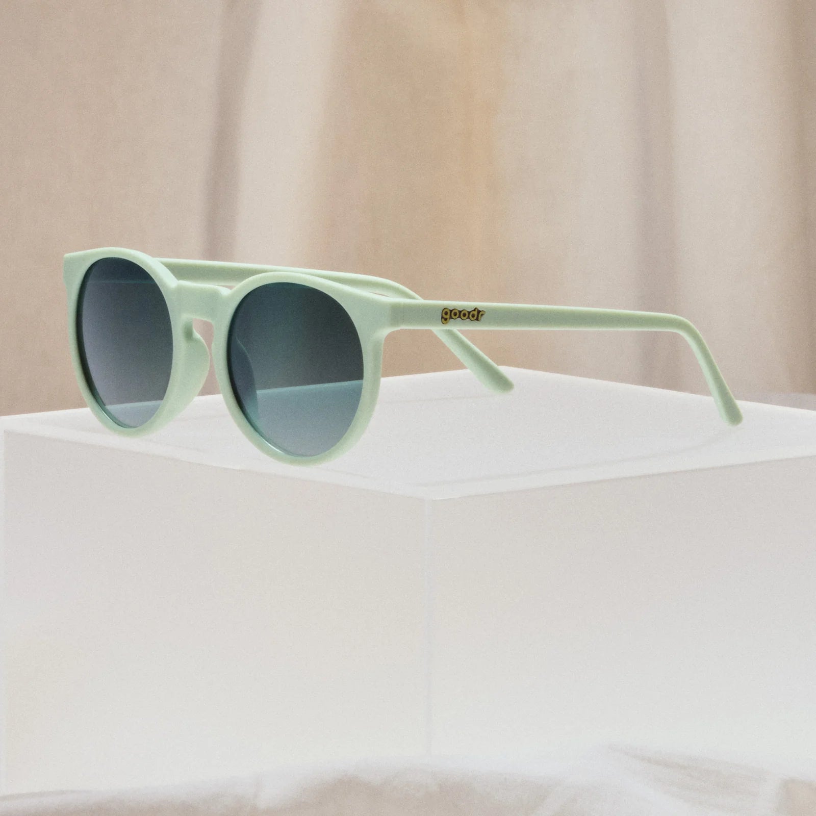 Goodr Circle G Incognito, parent d'une plante