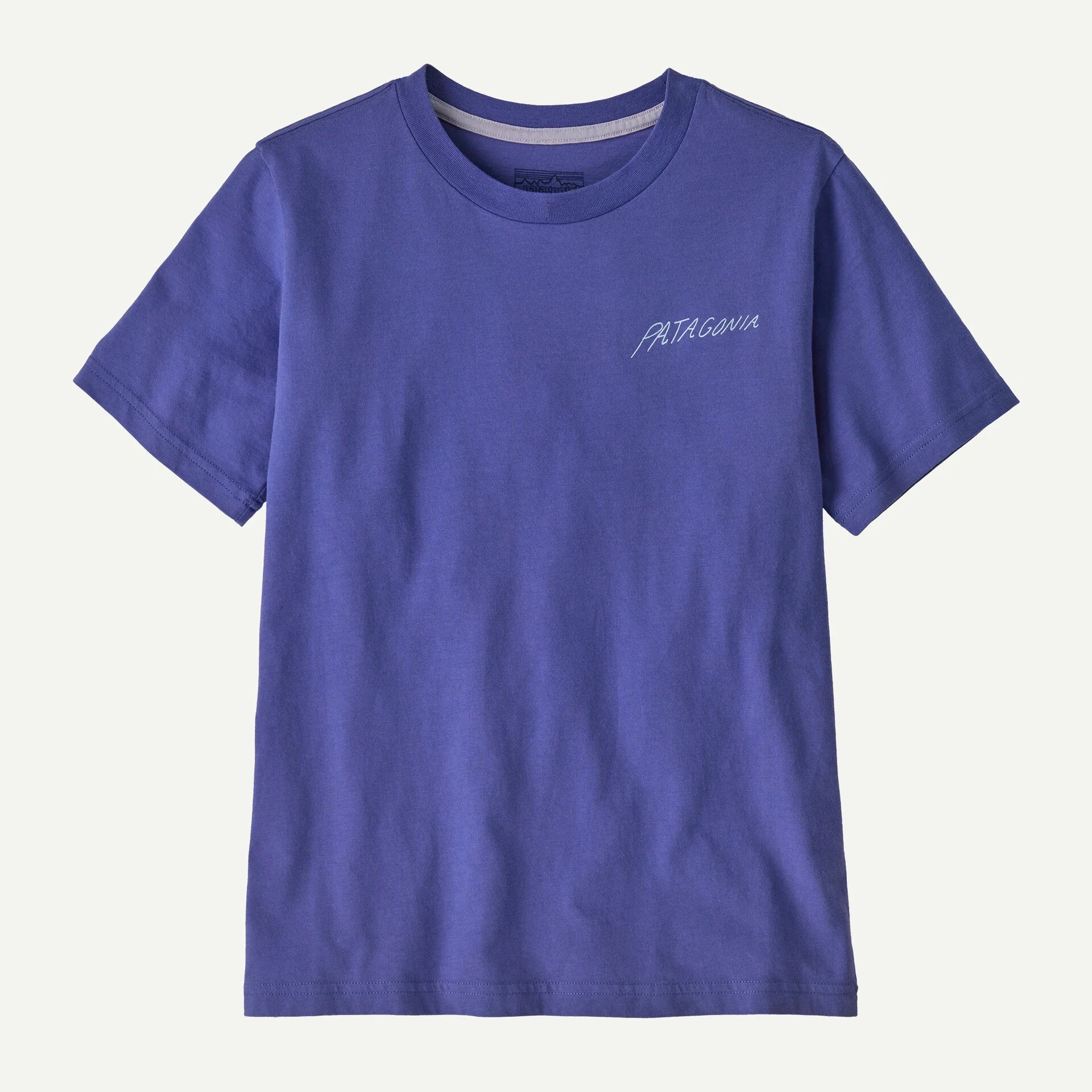 Patagonia Kids SS Graphic Tee BEAR OUT EDDY BLUE