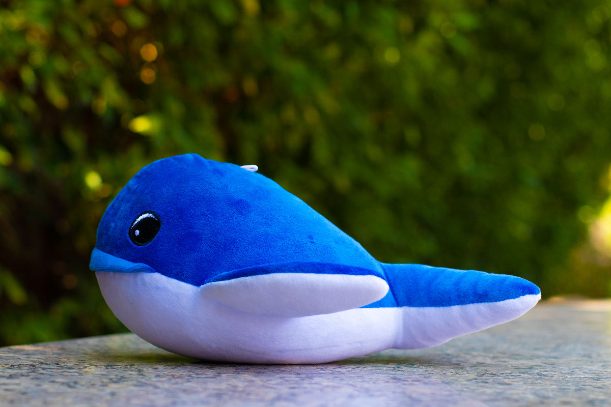 Shore Buddies Emma the Whale