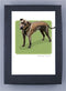 Paper Russells Dog Notecards PIT BULL 943