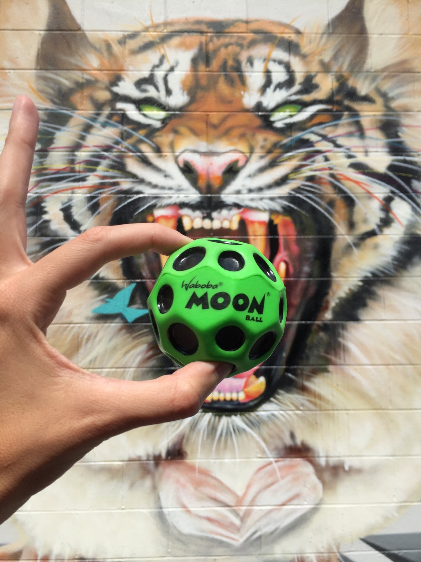 Waboba Moonball ASSORTED