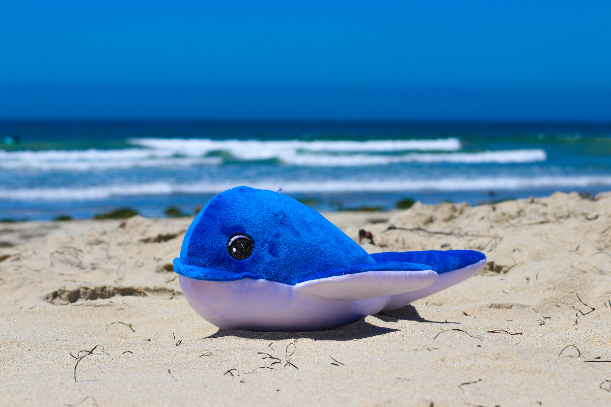 Shore Buddies Emma the Whale