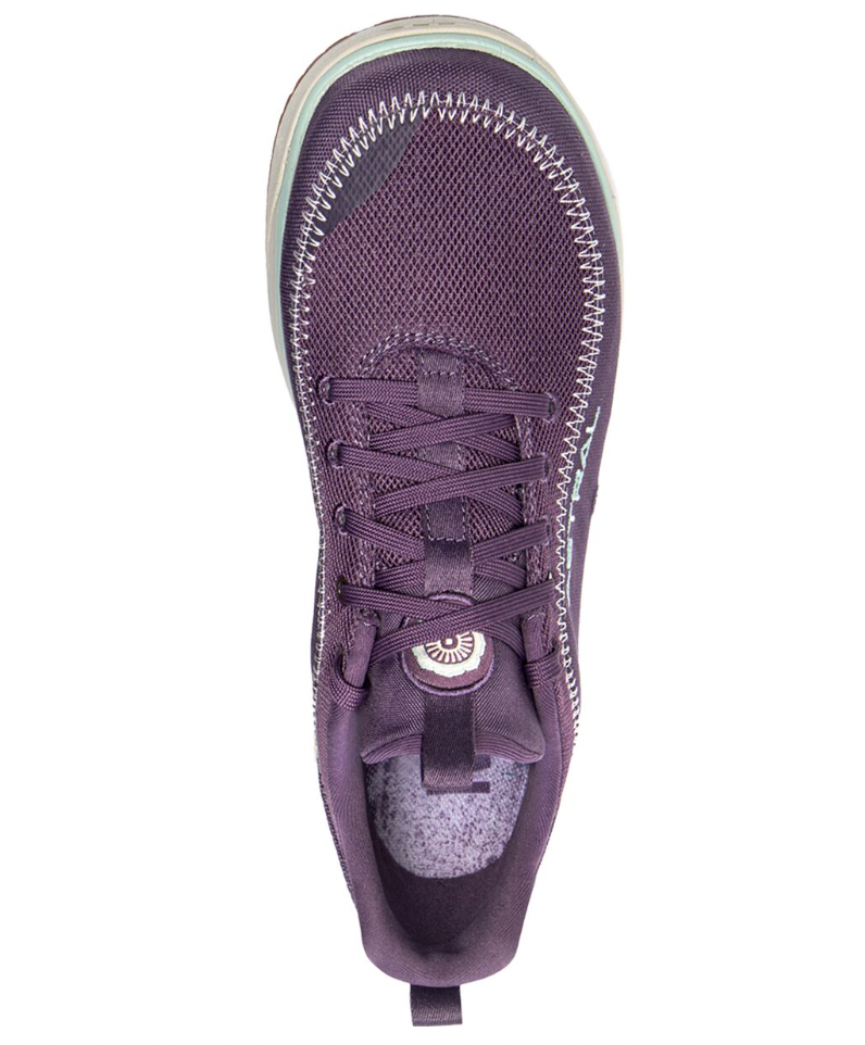 Astral W Brewer 3.0 AURORA PURPLE