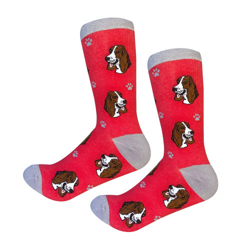 SockDaddy BASSET HOUND