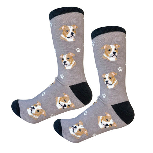 SockDaddy PIT BULL
