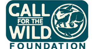 Call for the Wild