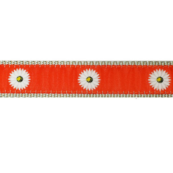 Preston Dog Collar Daisy ORANGE