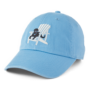 Life is Good Youth Chill Cap Dog Days COOL BLUE