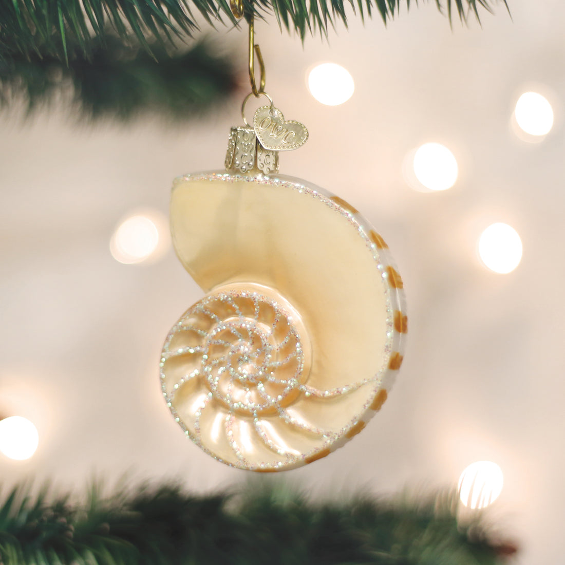 Old World Christmas Ornament NAUTILUS SHELL