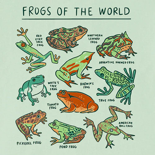 Life is Good Kids SS Crusher Frogs of the World Tee SAGE GREEN