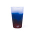 Silipint 16oz Cup Sea Turtle AMERICANA