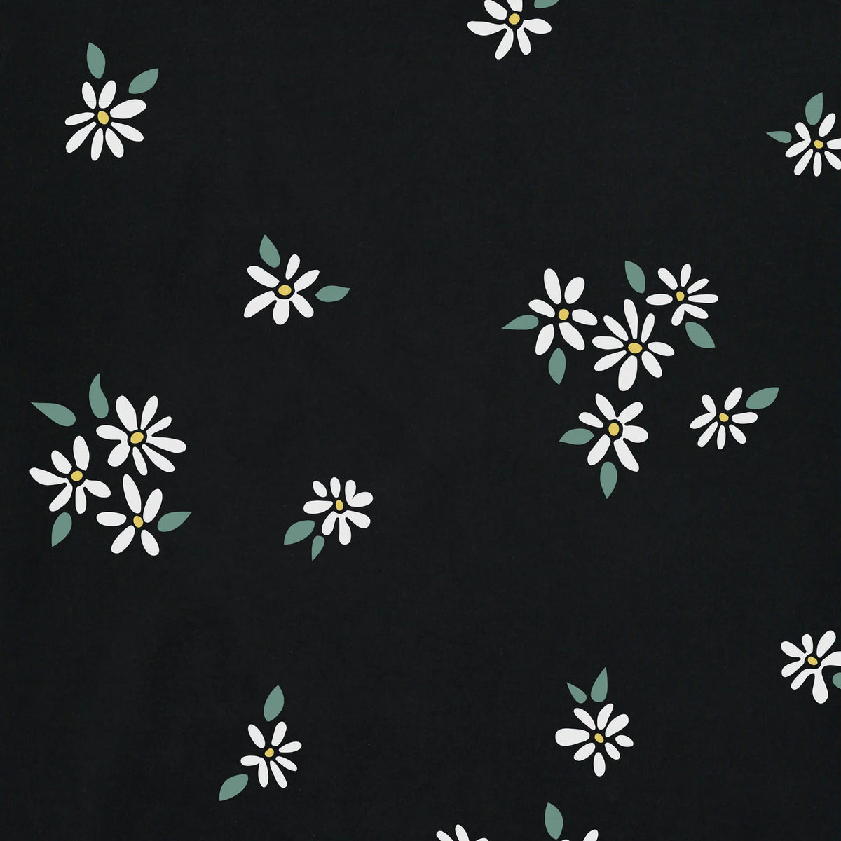 Life Is Good W LS Boxy Sleep Tee Wild Daisy TRUE BLACK