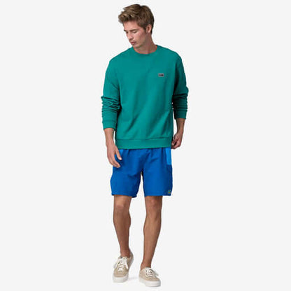 Patagonia M Daily Crewneck Sweatshirt SUBTIDAL BLUE