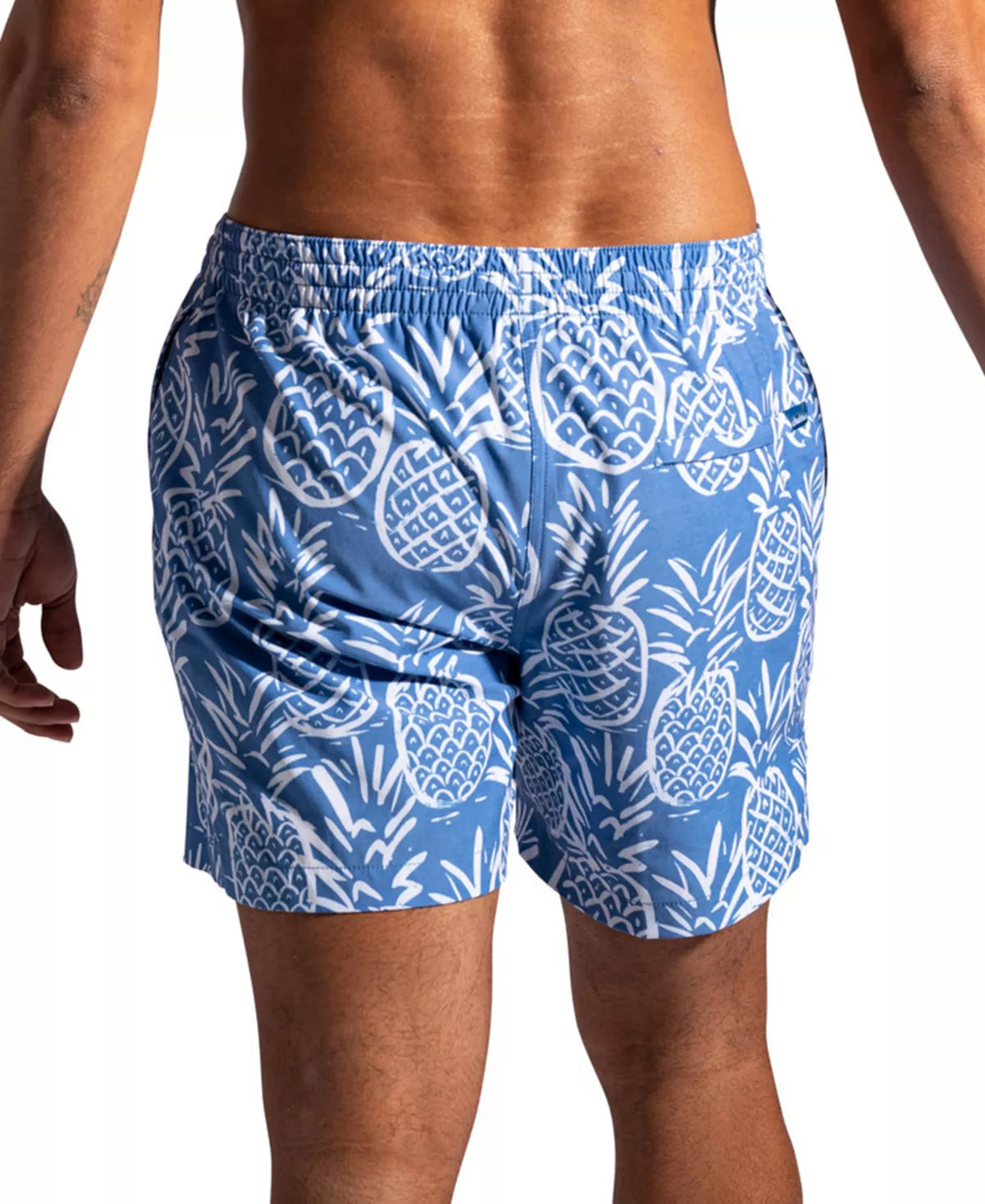 Chubbies M 5.5" Classic Swim Trunks THIGH-NAPPLES