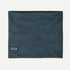 Patagonia Micro D Fleece Gaiter SUMMIT BLUE