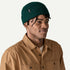 Patagonia Brodeo Beanie CASCADE GREEN