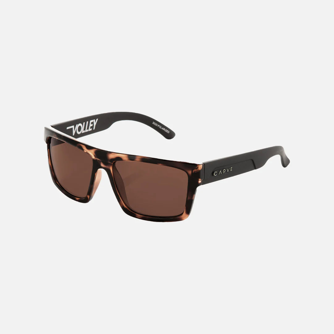 Carve Eyewear Volley TORT/BROWN