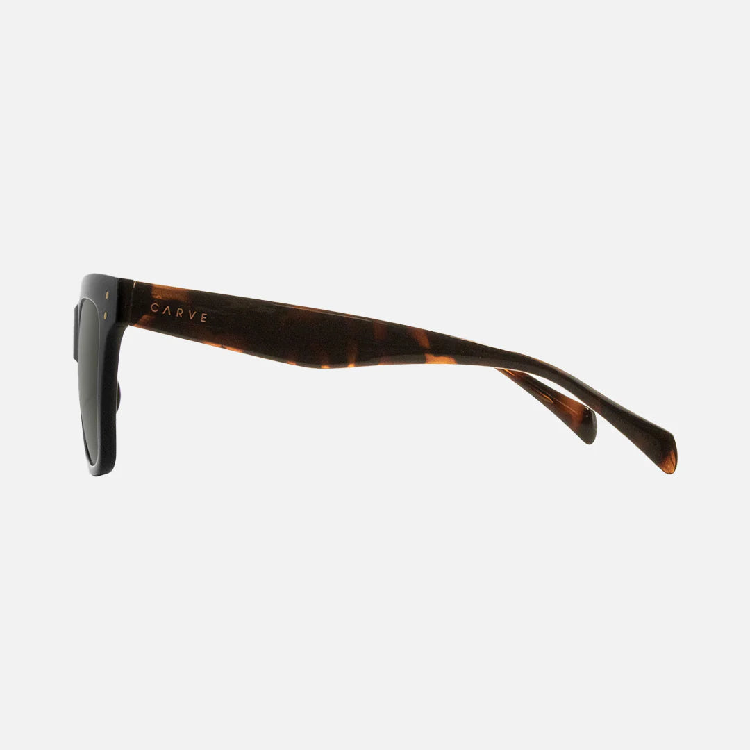 Carve Eyewear Leopold GLOSS BLACK MUTED TORT GREY