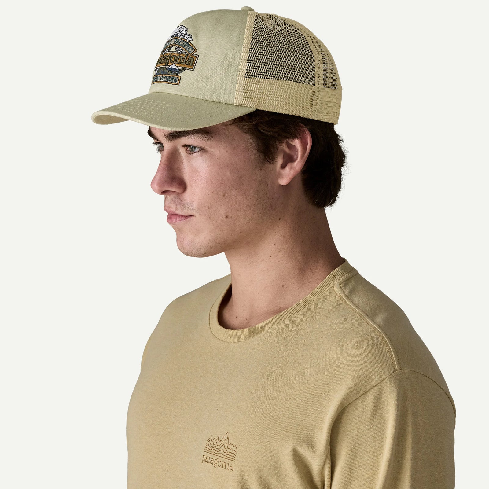 Patagonia Relaxed Trucker GREAT WAVES WEATHERED STONE
