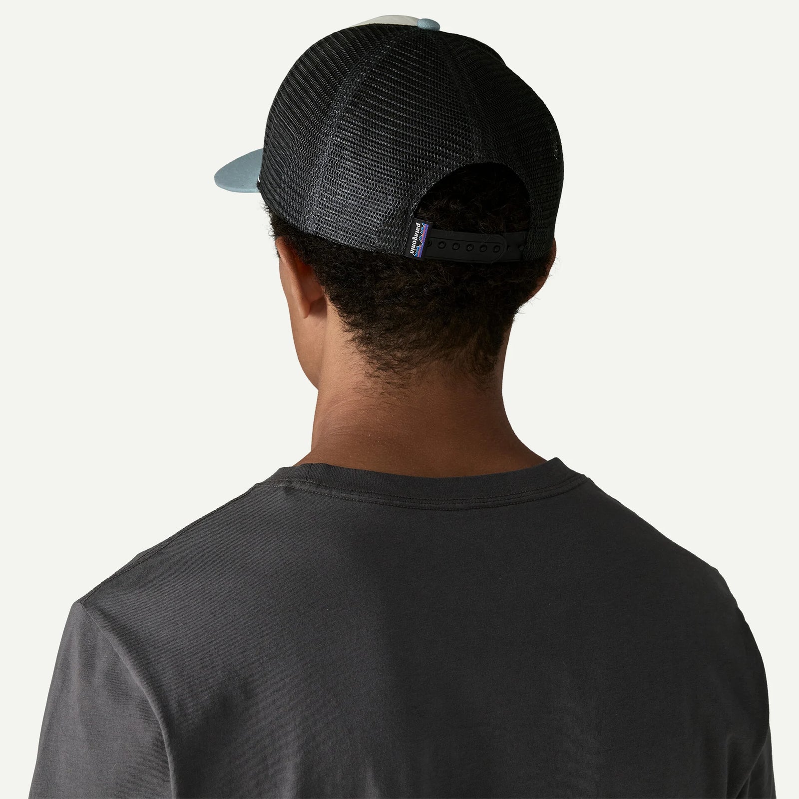 Patagonia Fitz Roy Trout Trucker WHITE / BLUE SAGE