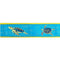 Preston Dog Collar Turtle TURQUOISE