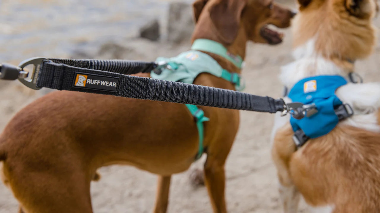 Ruffwear Double Track Coupler BASALT GREY