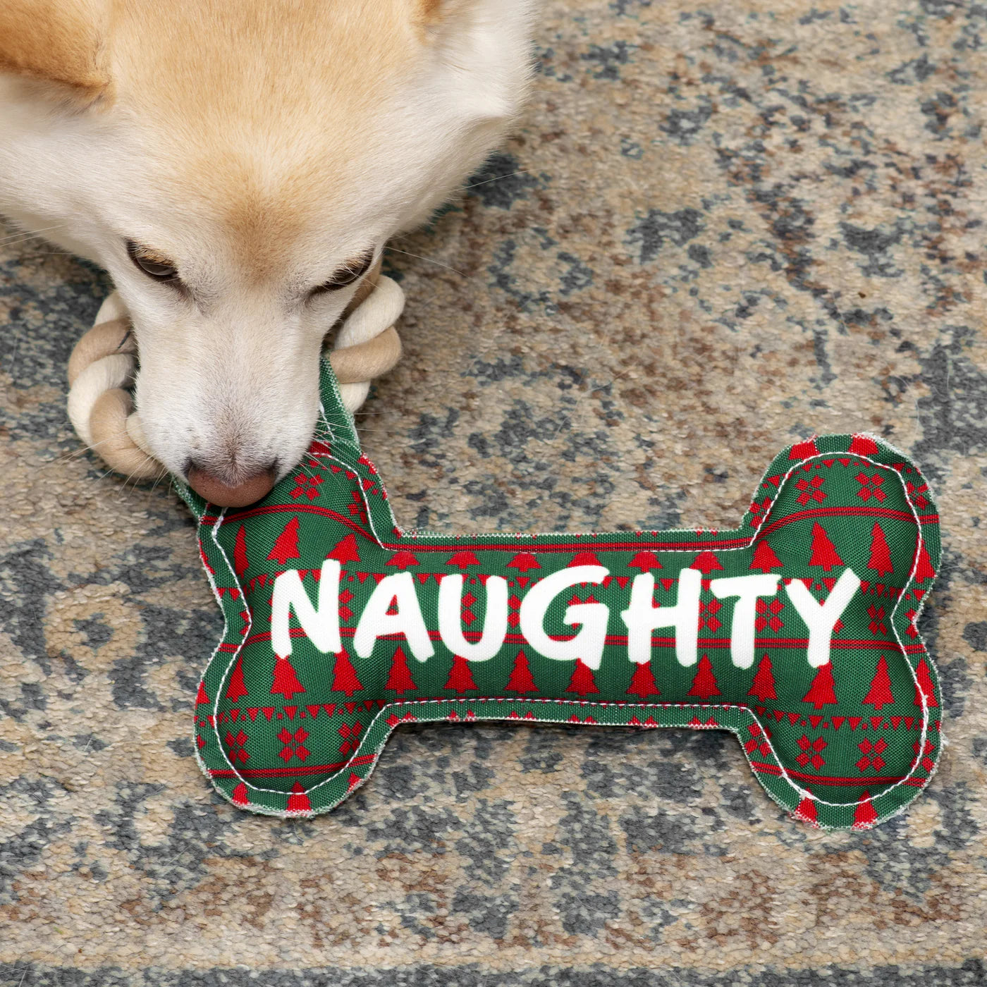 Pavilion Naughty or Nice Canvas Dog Toy