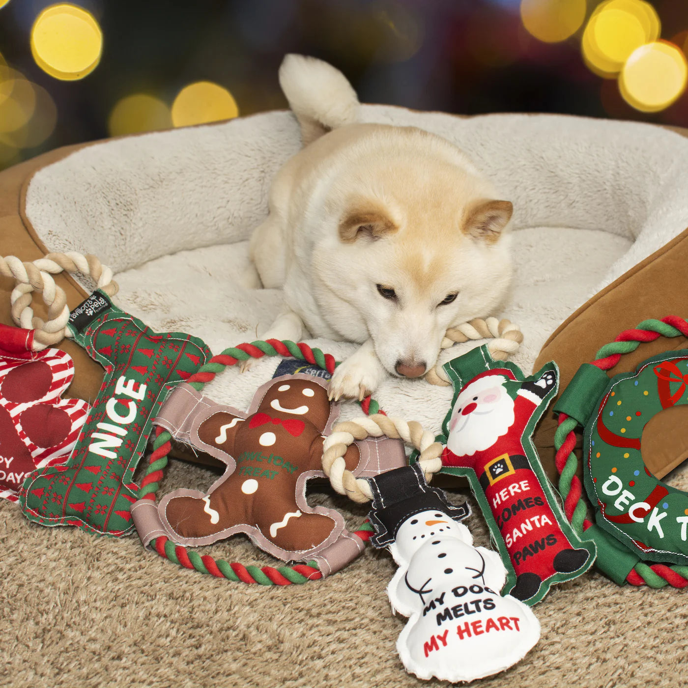 Pavilion Naughty or Nice Canvas Dog Toy