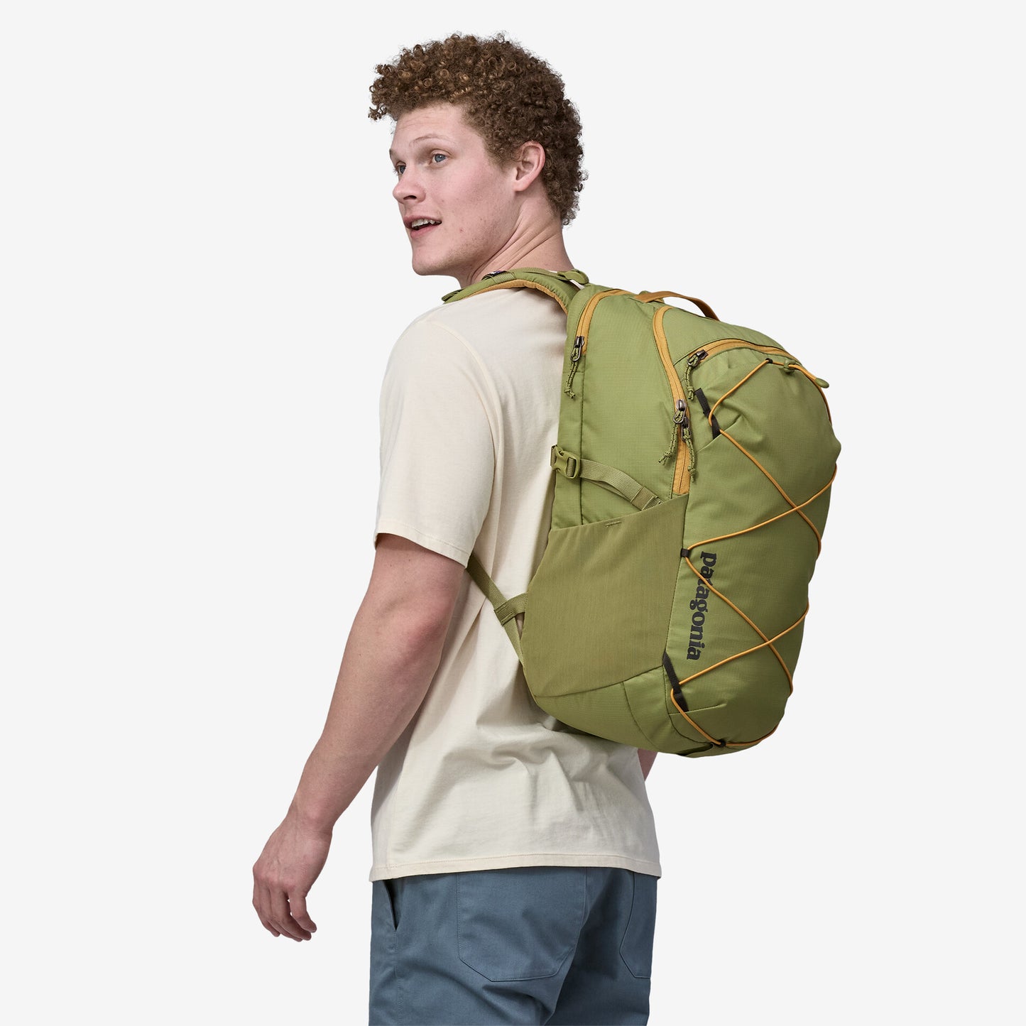 Patagonia Refugio Day Pack 30L BUCKHORN GREEN