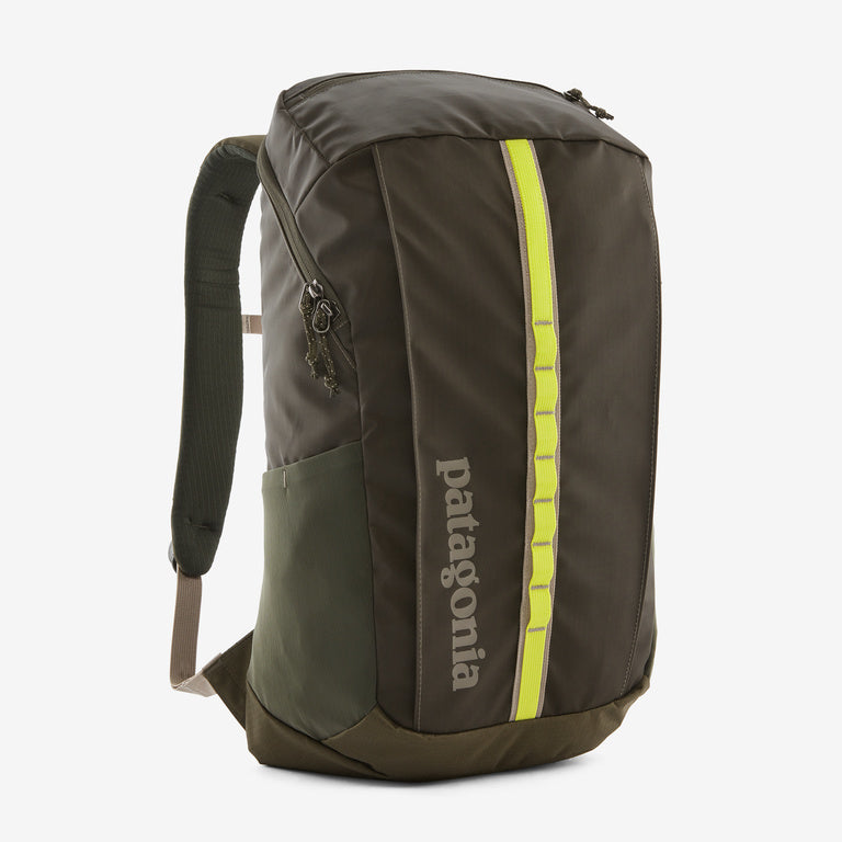 Patagonia Black Hole 25L Pack PINE GREEN