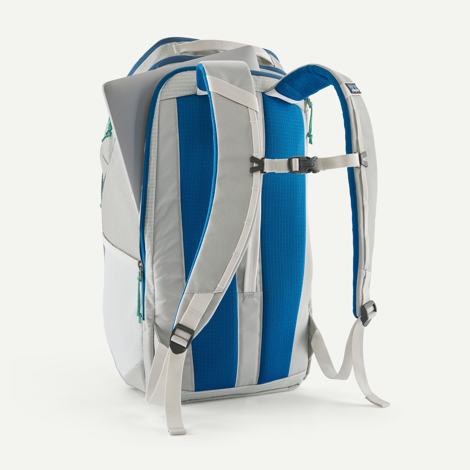 Patagonia Black Hole Pack 32L BIRCH WHITE