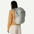 Patagonia Black Hole Pack 32L BIRCH WHITE