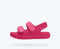 Native Child Chase Sandal POPSICLE PINK / FLAMINGO