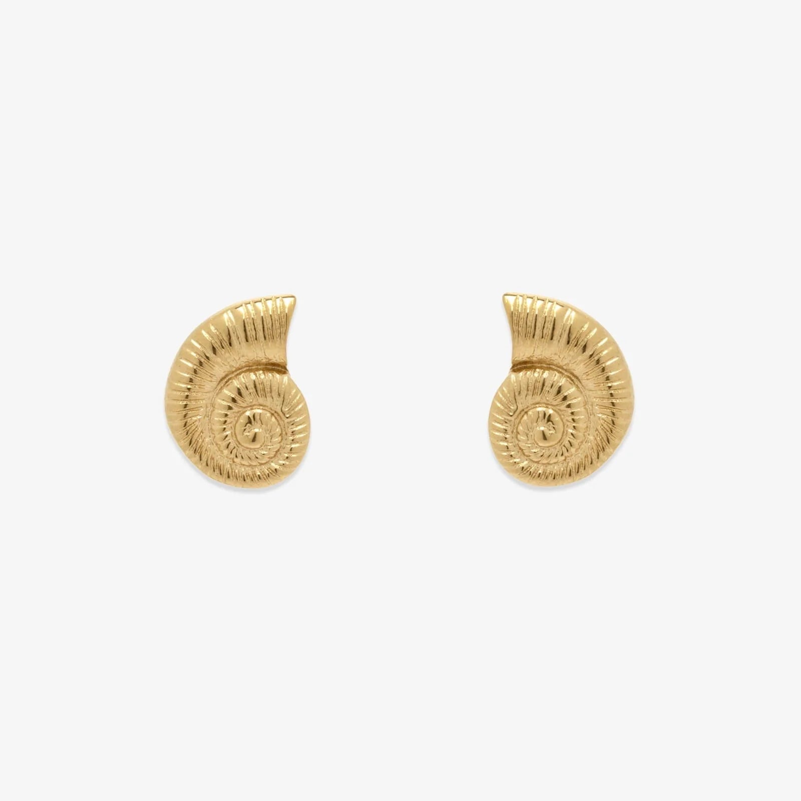 Pura Vida Seashell Stud Earrings GOLD