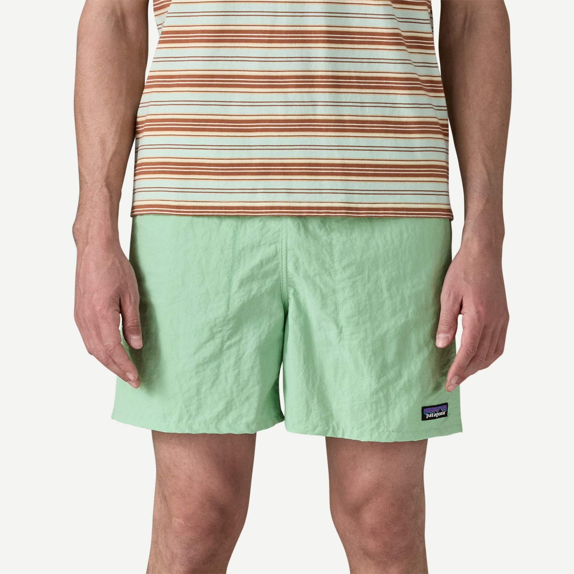 Patagonia M Baggies 5" RINSED GREEN