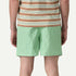 Patagonia M Baggies 5" RINSED GREEN