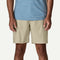 Patagonia M LW All-Wear Short 8" PELICAN