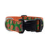 Preston Dog Collar PUMPKINS