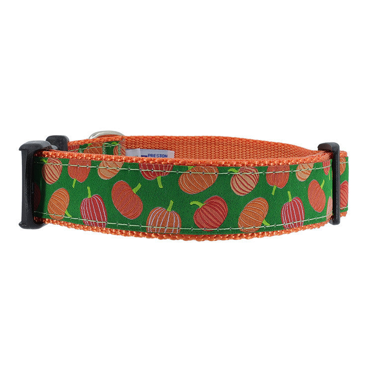 Preston Dog Collar PUMPKINS