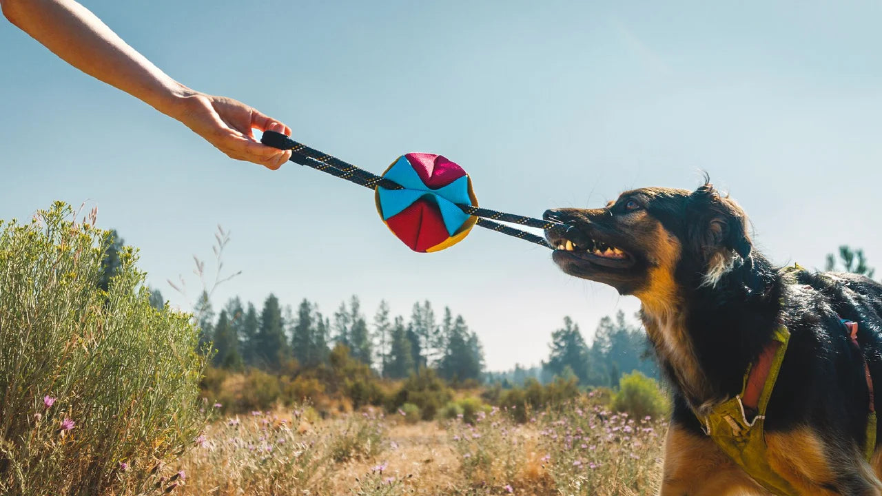 Ruffwear Medium Tug Toy SURPRISE