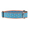 Preston Dog Collar Seagulls TURQUOISE/ORANGE