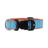 Preston Dog Collar Seagulls TURQUOISE/ORANGE