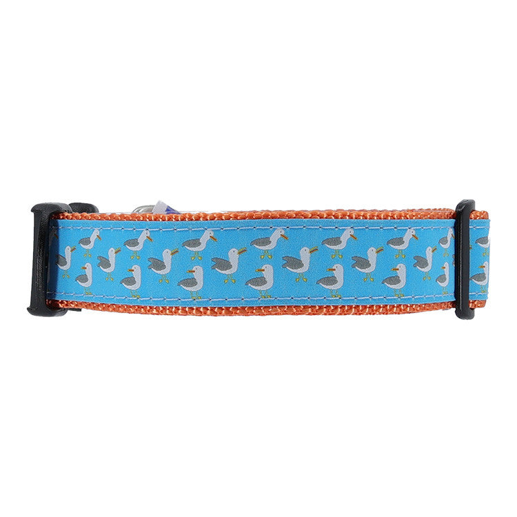 Preston Dog Collar Seagulls TURQUOISE/ORANGE