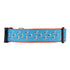 Preston Dog Collar Seagulls TURQUOISE/ORANGE