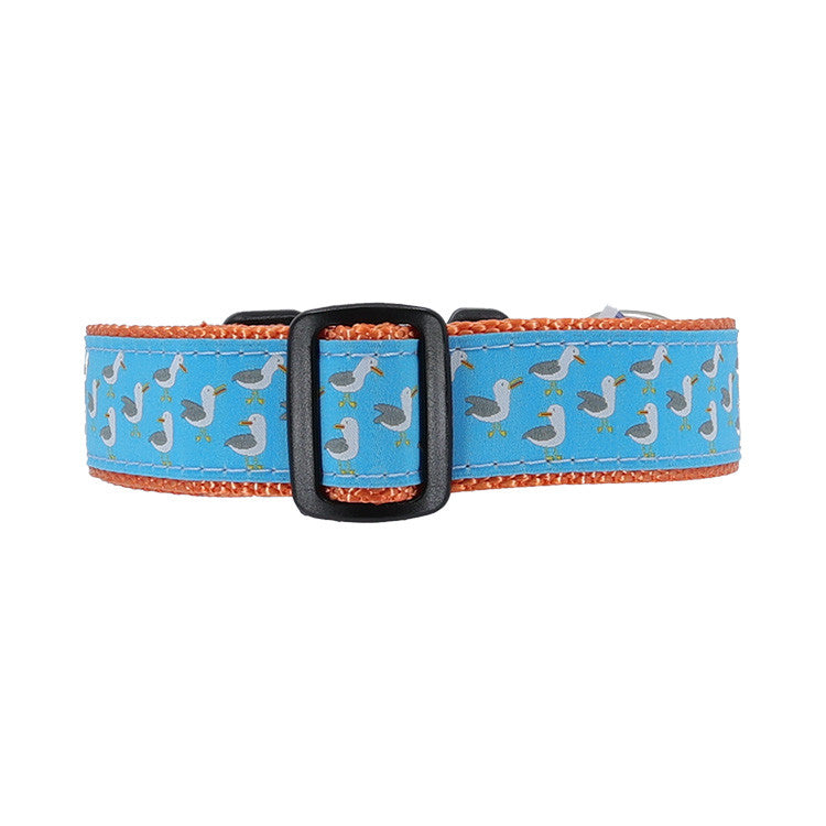 Preston Dog Collar Seagulls TURQUOISE/ORANGE
