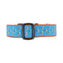Preston Dog Collar Seagulls TURQUOISE/ORANGE